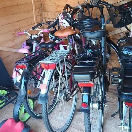 Holiday home Zum Birkenwaeldchen